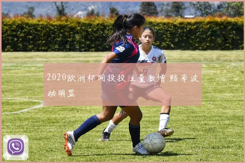 2020欧洲杯网投投注量激增 赔率波动明显