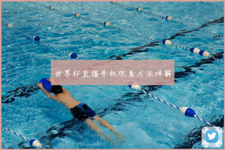 世界杯直播手机观看方法详解