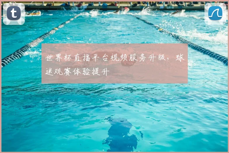 世界杯直播平台视频服务升级,球迷观赛体验提升
