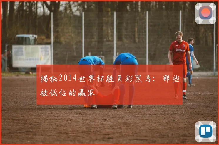 揭秘2014世界杯胜负彩黑马：那些被低估的赢家