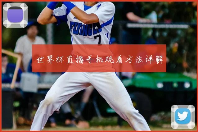 世界杯直播手机观看方法详解
