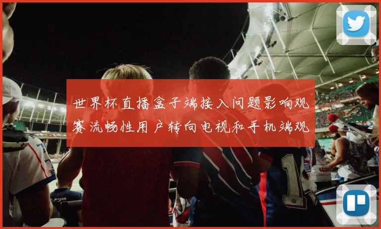 世界杯直播盒子端接入问题影响观赛流畅性用户转向电视和手机端观赛