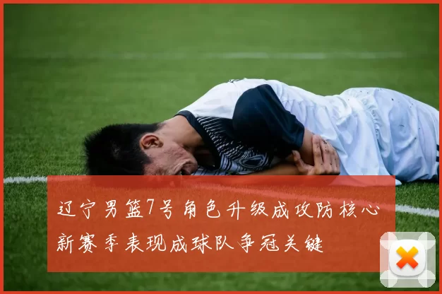 辽宁男篮7号角色升级成攻防核心 新赛季表现成球队争冠关键