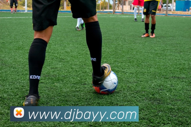 App Interface Preview